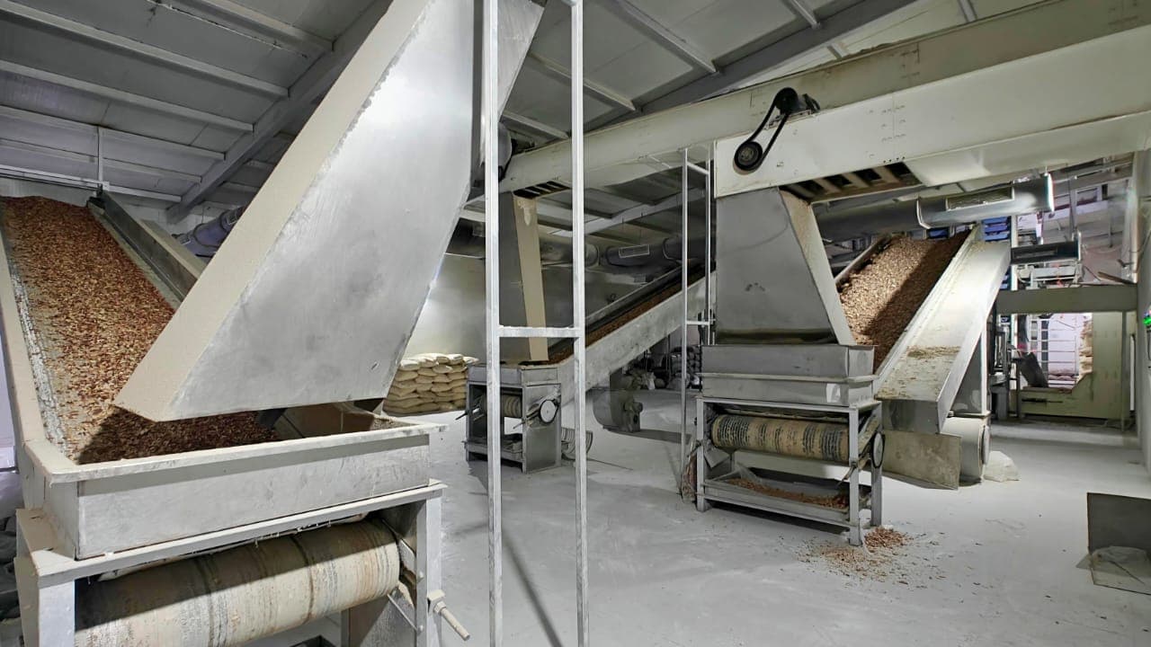Export-grade processing and packaging facility in India — Triyara verified manufacturing partner